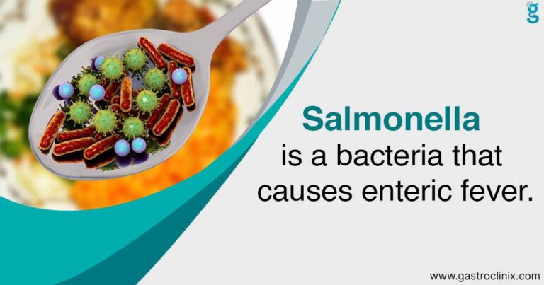 Salmonella infection - Dr. Harsh J Shah