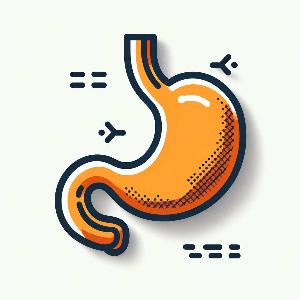 DALL·E 2024 06 10 06.56.06 An illustration of a stomach prominently displayed with a simple clear background. The stomach is colored in FE7C55 a shade of orange with a white