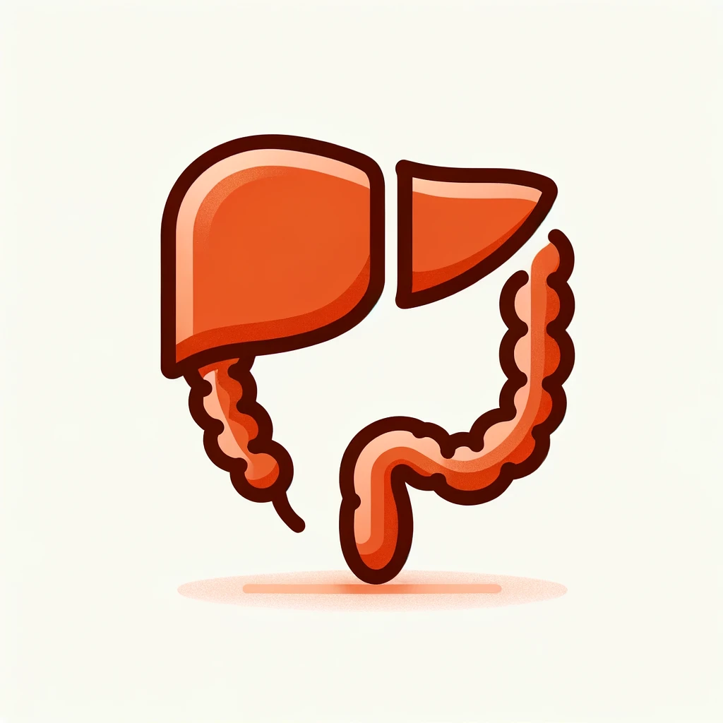 DALL·E 2024 06 11 07.26.59 An image depicting a simplified representation of the human colon and liver. The colon is shown in a light orange color and the liver is shown in a l
