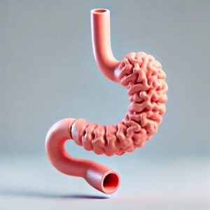 Can Obesity Increase the Risk of Cancer in Barretts Esophagus