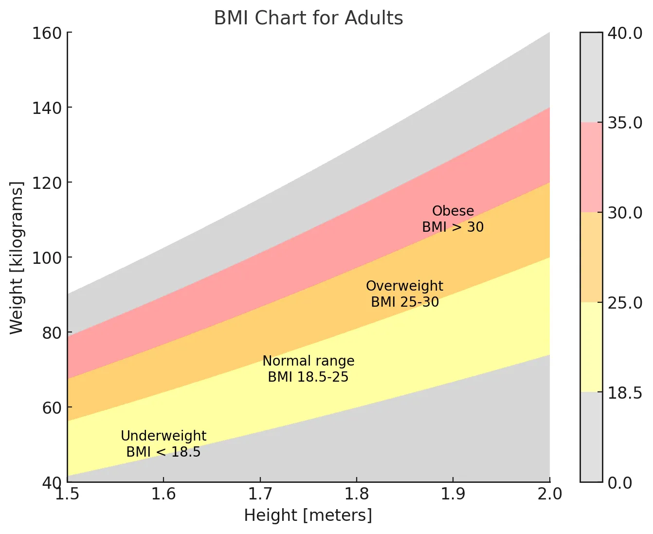 BMI chart for adults