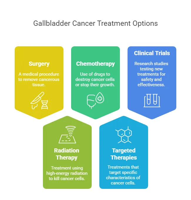 Gallbladder Cancer Treatment Option