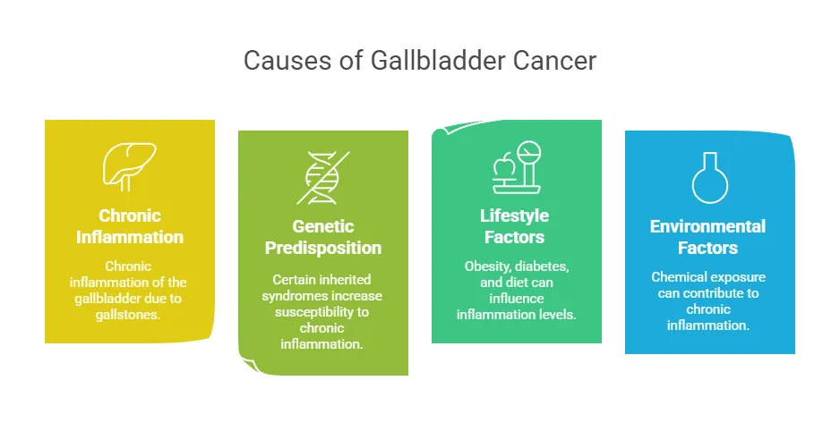 causes of gallbladder cancer